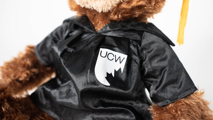 UCW Graduation Bear