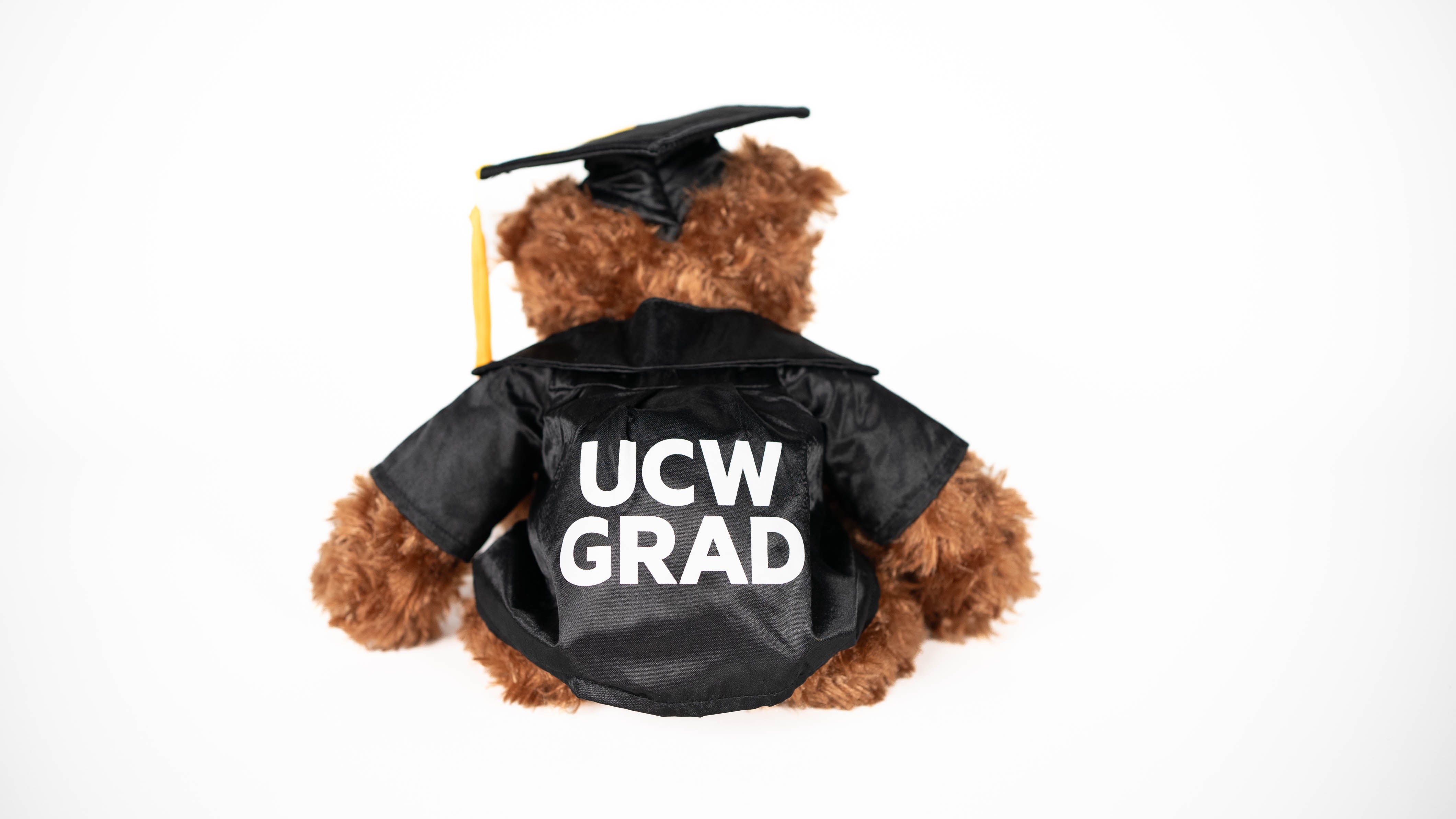 UCW Graduation Bear