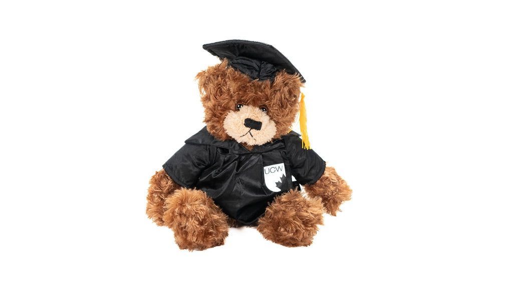 UCW Graduation Bear